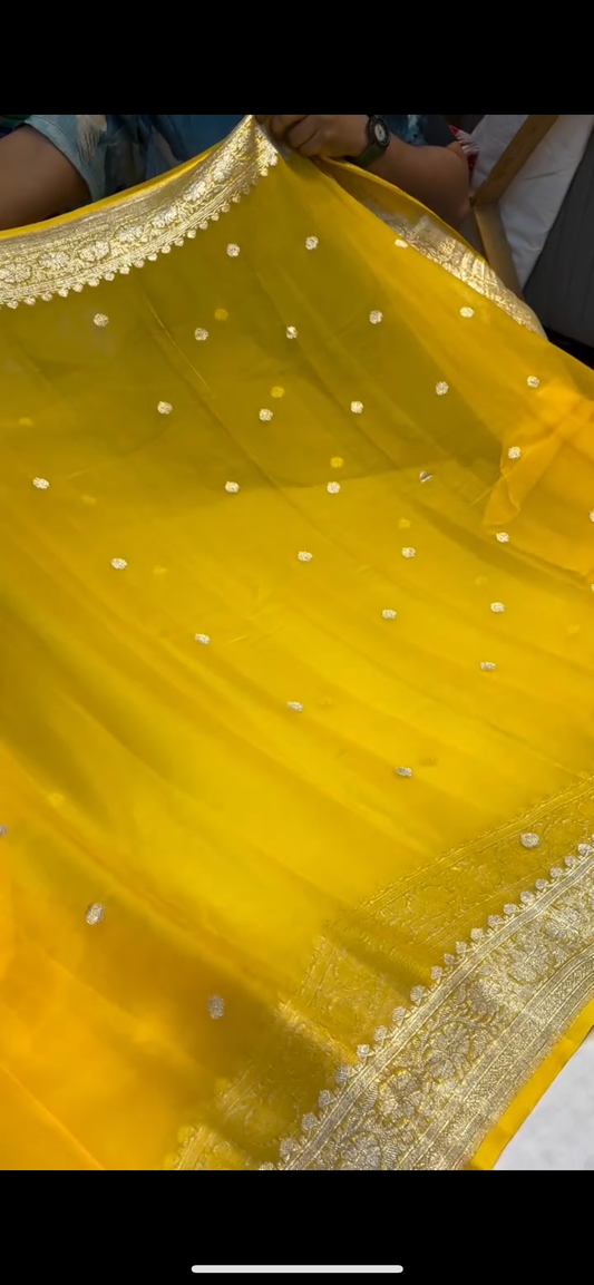 Surya Kanthi Banarsi Silk Saree