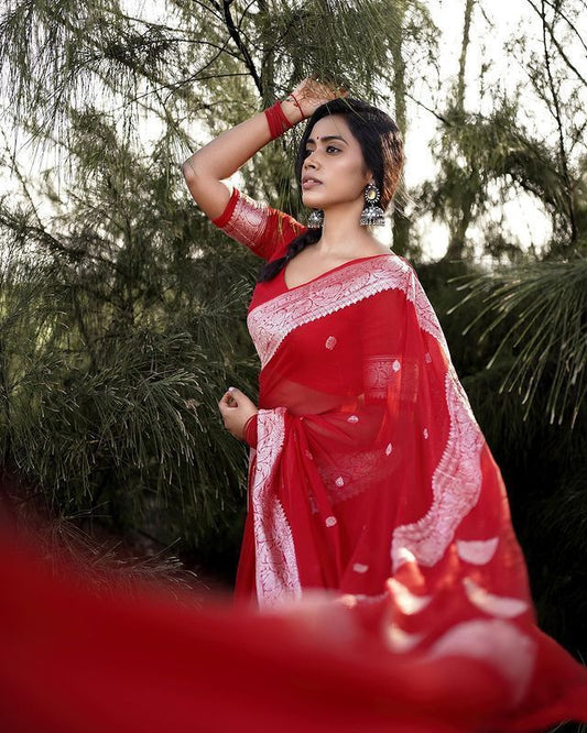 Elegant Red Saree with Delicate Silver Woven Details