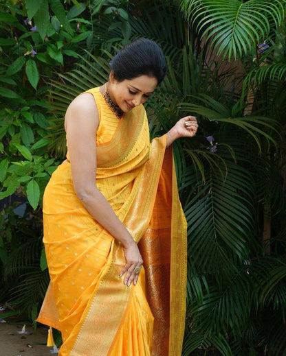 Heritage-Inspired Silk Drape for Grand Occasions