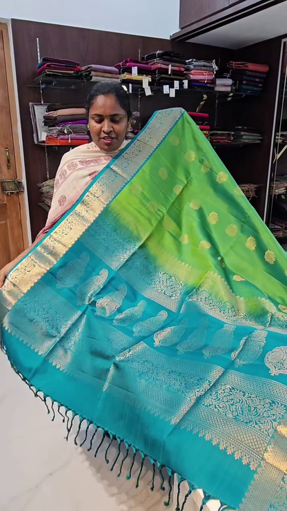 Sublime Peacock Silk Saree