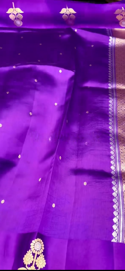 Amr̥ta Varna Pattu Saree